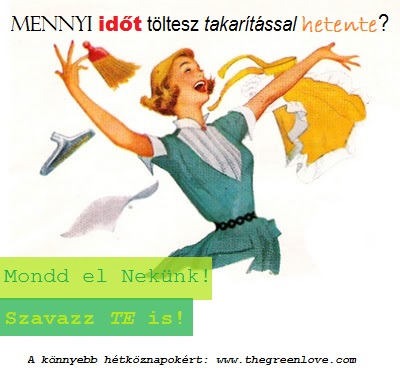 szavazás01