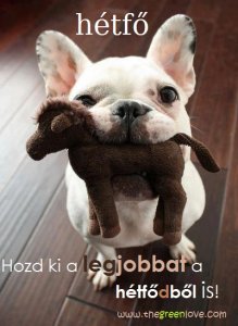 hetfo05