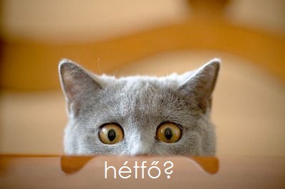 hetfoblog