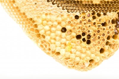 vegyszermaradványok mindenütt