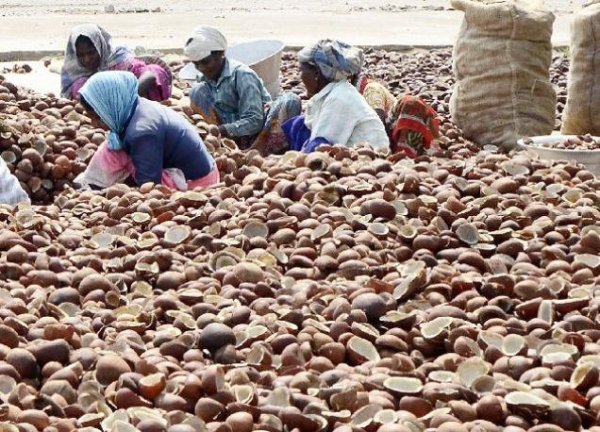 source: thehindubusinessline.com/