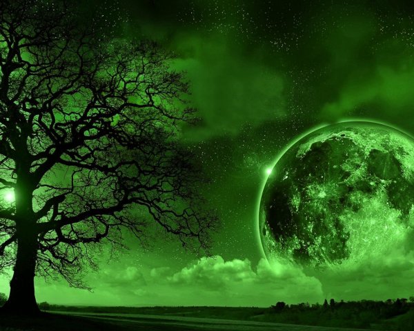 GreenLove Holdnaptár