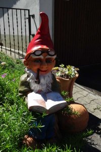 source: picture-newsletter.com/