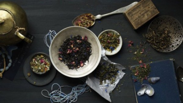 source: http://www.ladywoods.org/