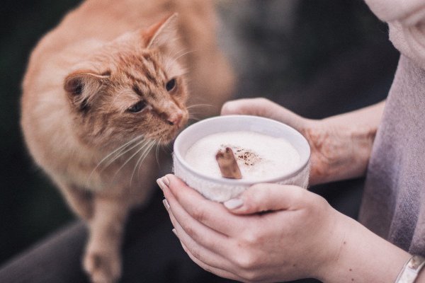 source: danielfaro.wordpress.com