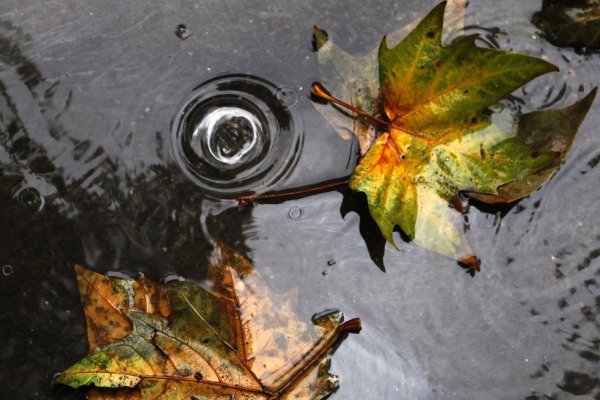 source: blogs.sacbee.com/