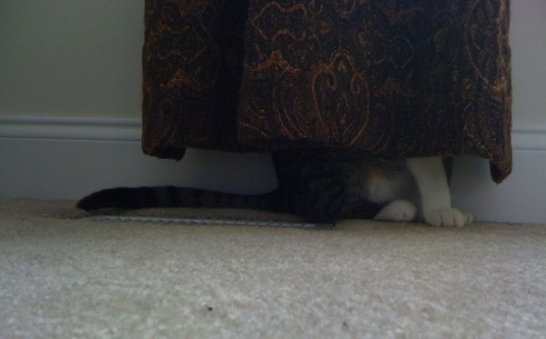 source: blog.gilly.ws