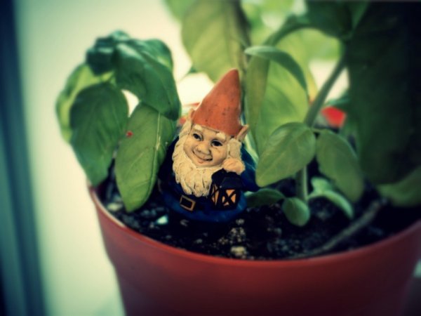 source: www.ryot.org