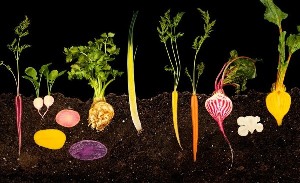 source: beingsakin.wordpress.com