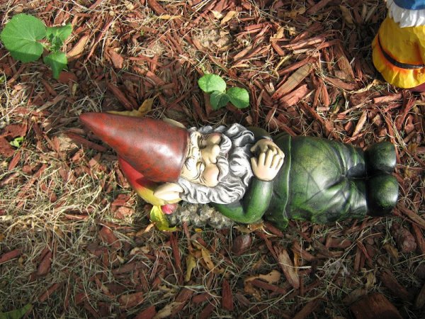 source: mrbsgarden.blogspot.com