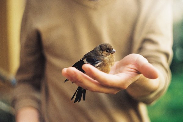 source: andylal.blogspot.com