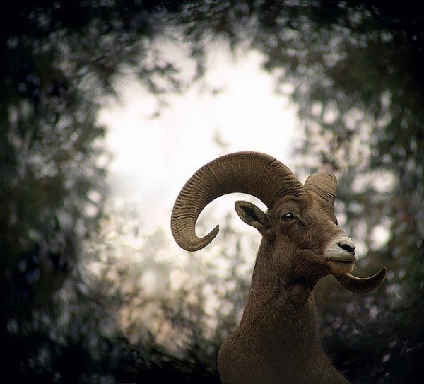 source: http://aquariusrising.com/