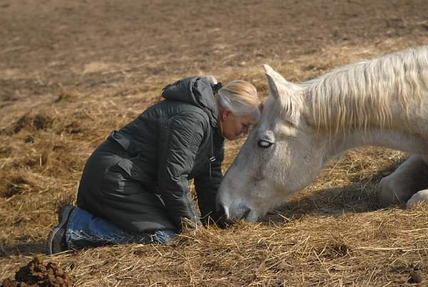 forrás: http://www.mixonline.hu/