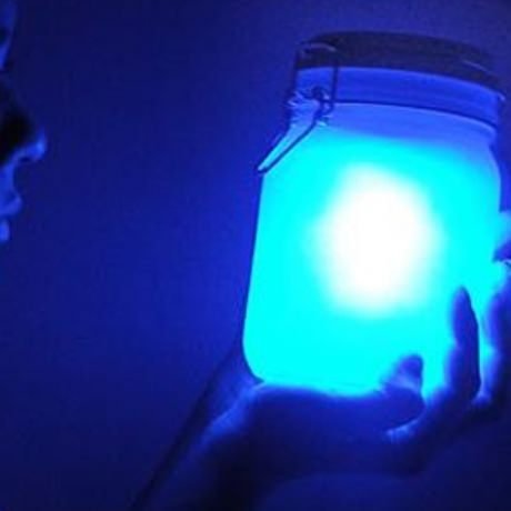 source: funny-pictures.picphotos.net