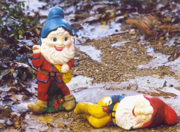 source: www.victoria-dove.com