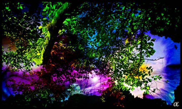 source: www.ecology.com