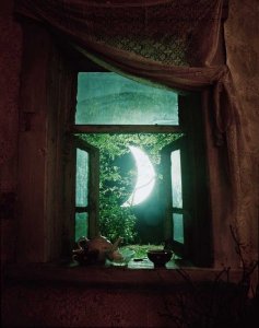 source: rebloggy.com