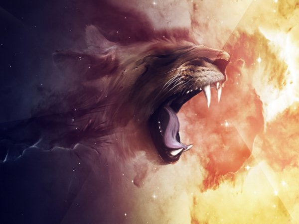 source: www.wallshark.com