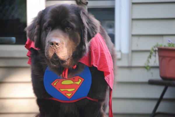 source: galleryhip.com