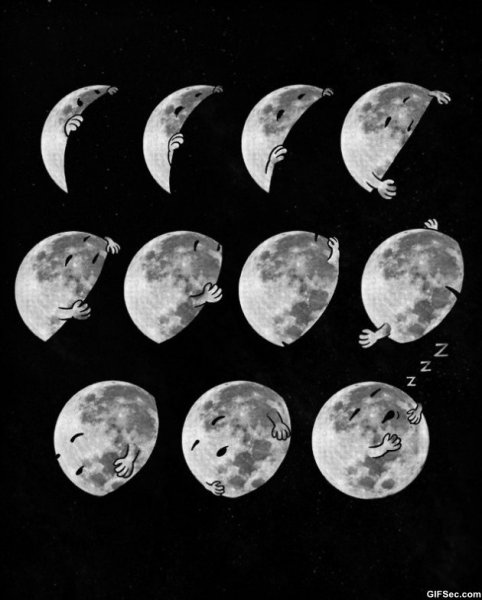 source: funny-pictures-blog.com