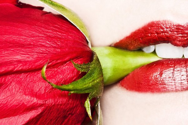 source: http://www.aprilkoehlerphotography.com/