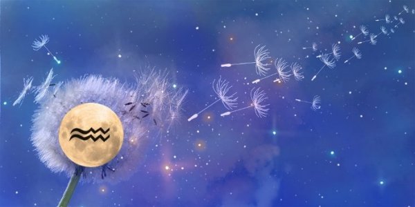 source:www.lisamooncat.com