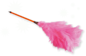 feather-duster-psd101811
