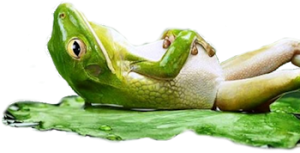 theinsatiablequestforbeauty.com