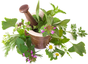 organic-bulk-herbs_large