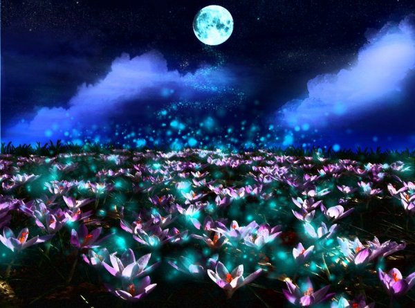 source: darla-illara.deviantart.com