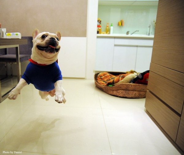 source: weruletheinternet.com