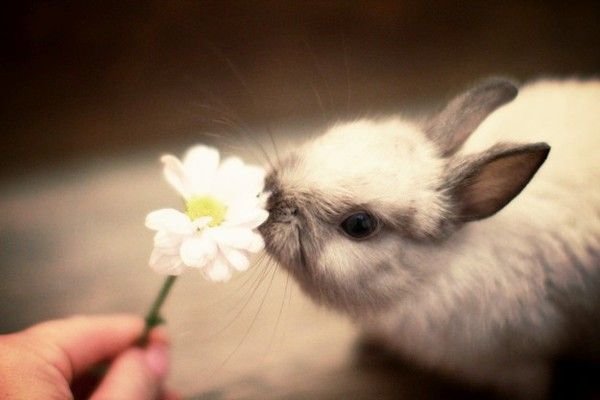 source: pinterest.com