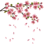 source: gallery.yopriceville.com