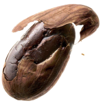 source:imgarcade.com