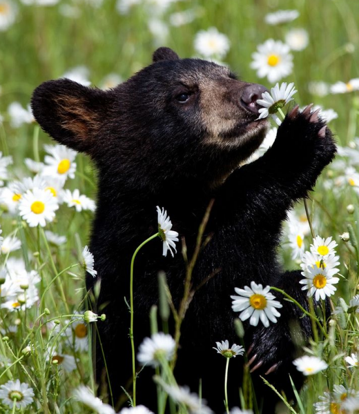 source: www.reddit.com