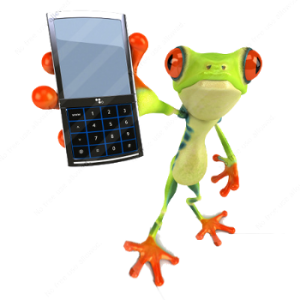 source: www.garden-magic.co.za