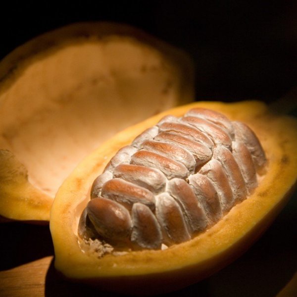 source: livesuperfoods.com