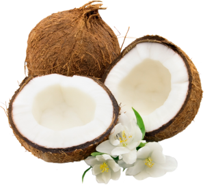 coconut_1_by_lenkinrom