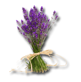 lavender (1)