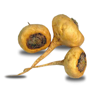 source: www.exotic-king.com