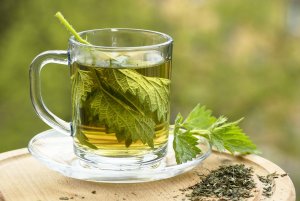 nettle-tea-is-good-for