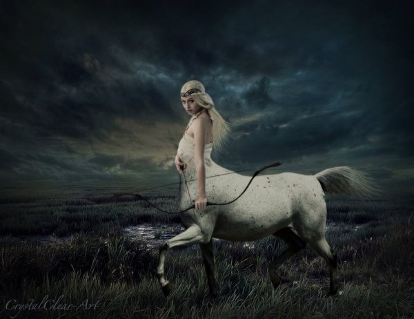 source: galleryhip.com