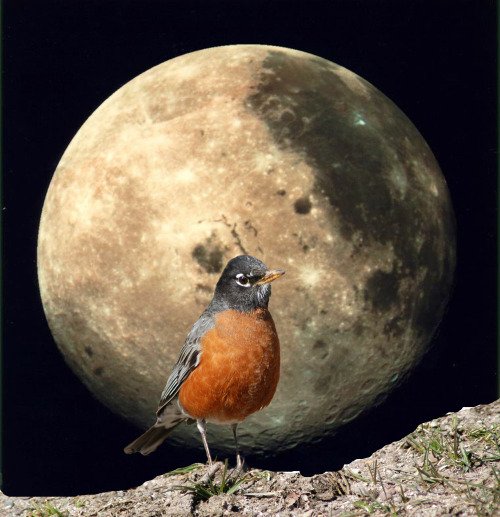 source: www.evolveandascend.com