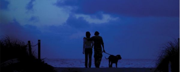 source: http://www.visitcookcounty.com/