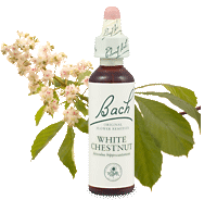white-chestnut remedy chooser