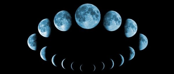 source: owellness.ca