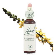 agrimony remedy chooser