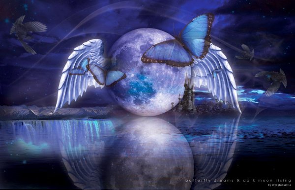 source: lighworkerjapan.wordpress.com