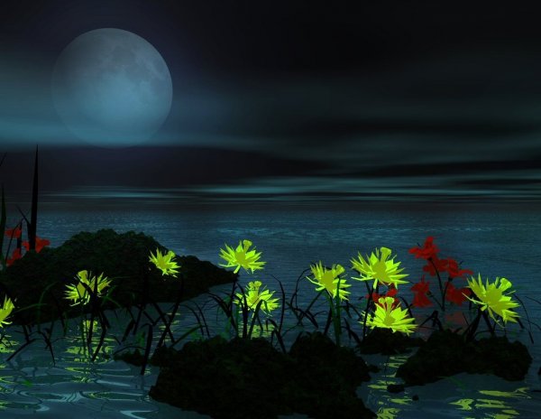 source: pt.forwallpaper.com