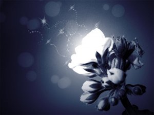 source: greenkiwiofdoom.deviantart.com